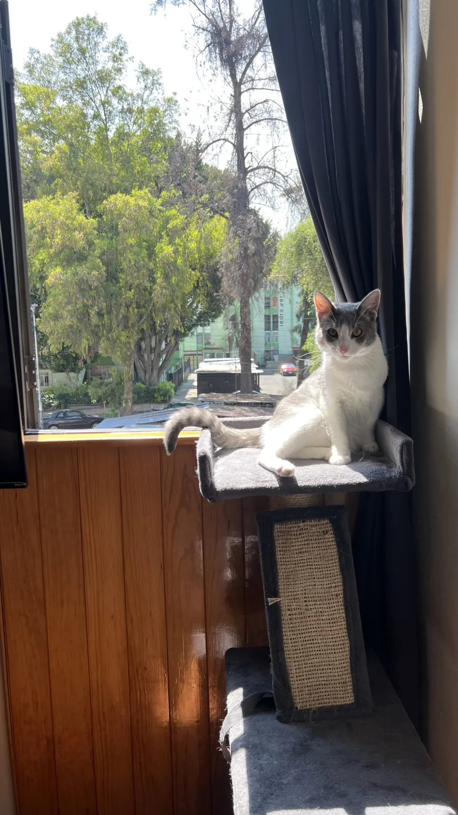 Retrato de MIA