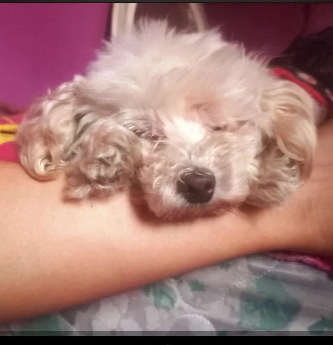 Retrato de LICHITA