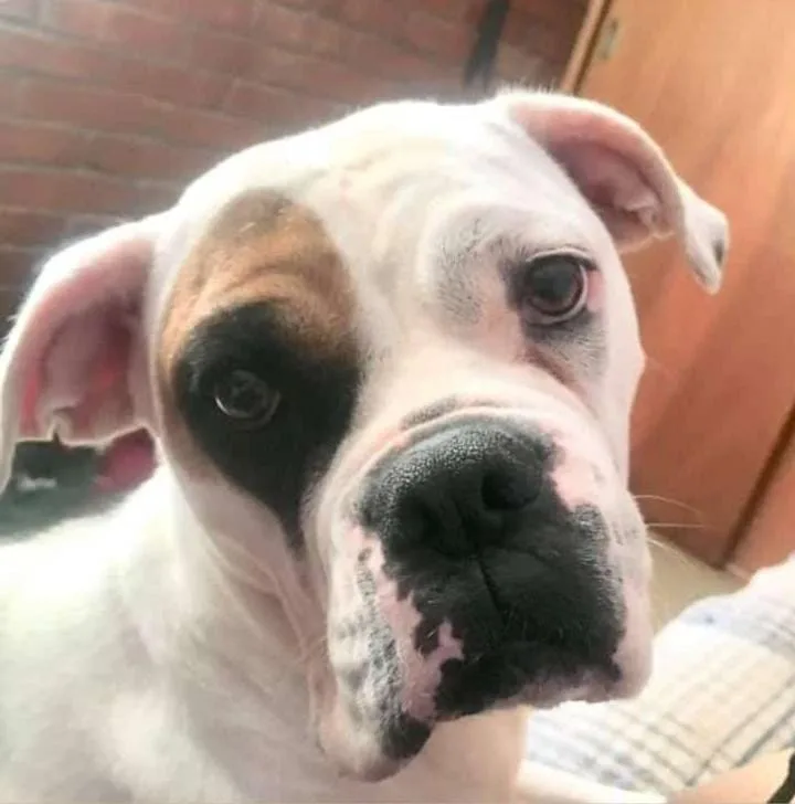 Retrato de NALA