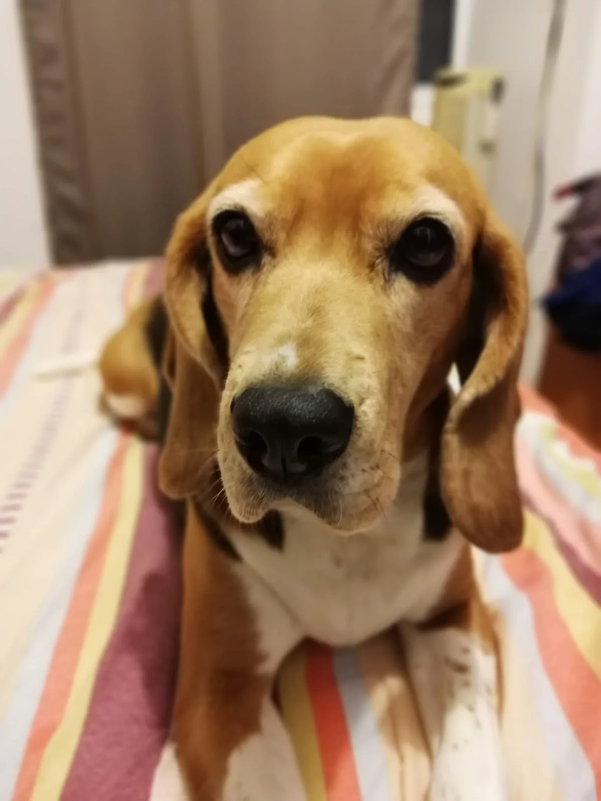 Retrato de LAS EXTRAÑAMOS