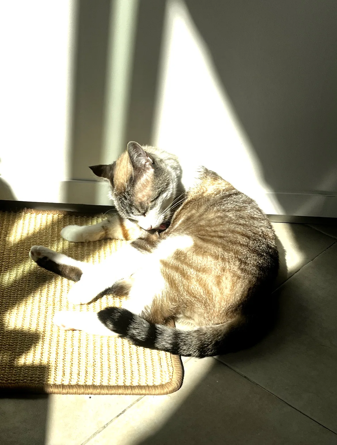 Retrato de NINA
