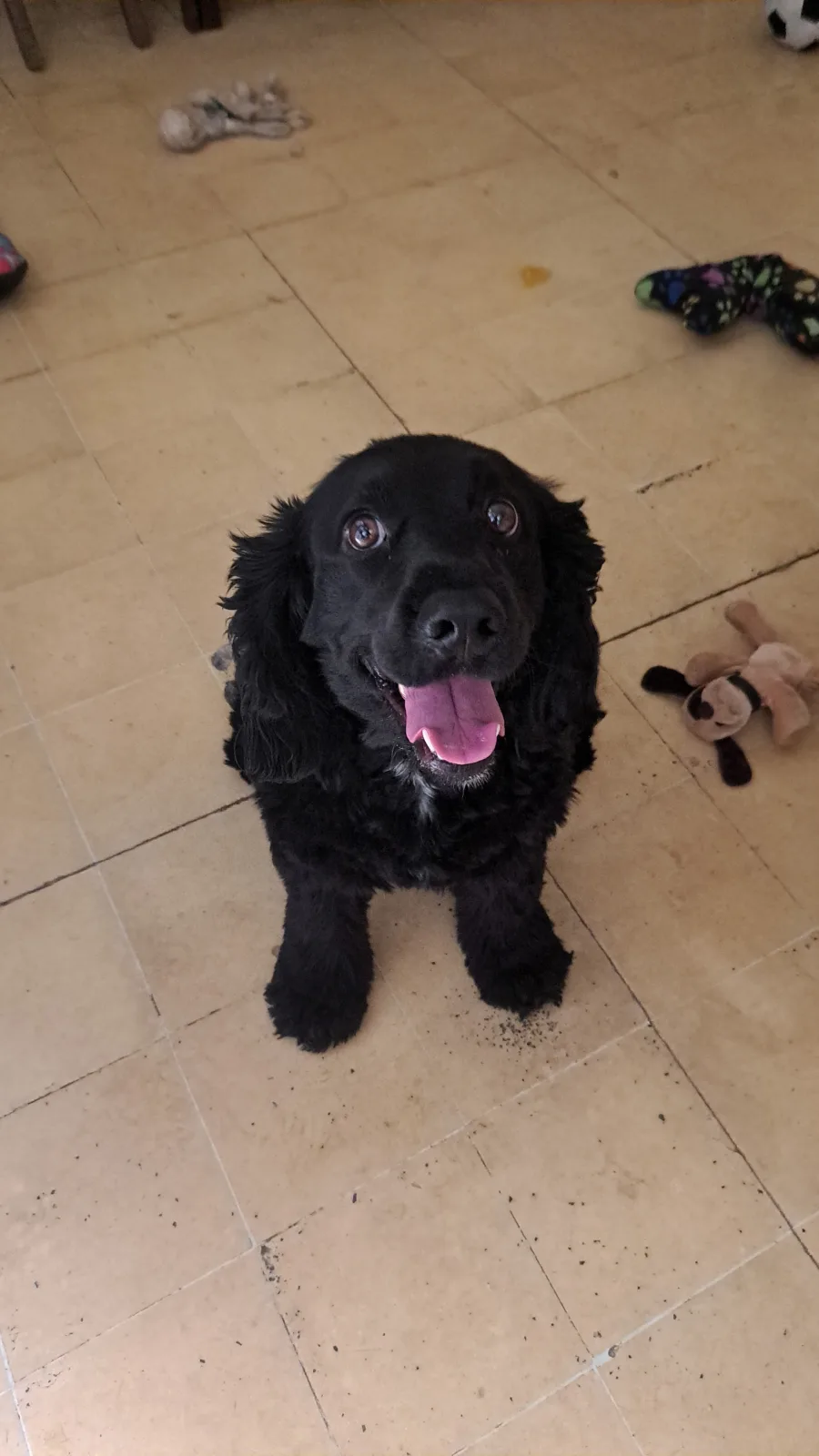 Retrato de BRUNO