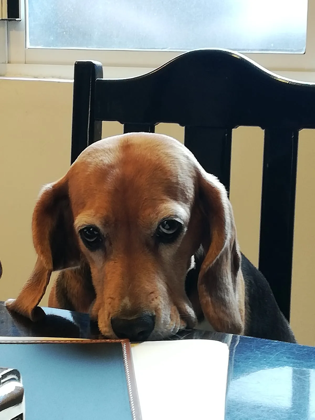 Retrato de RAMONA