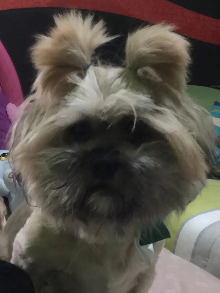 Retrato de MILA