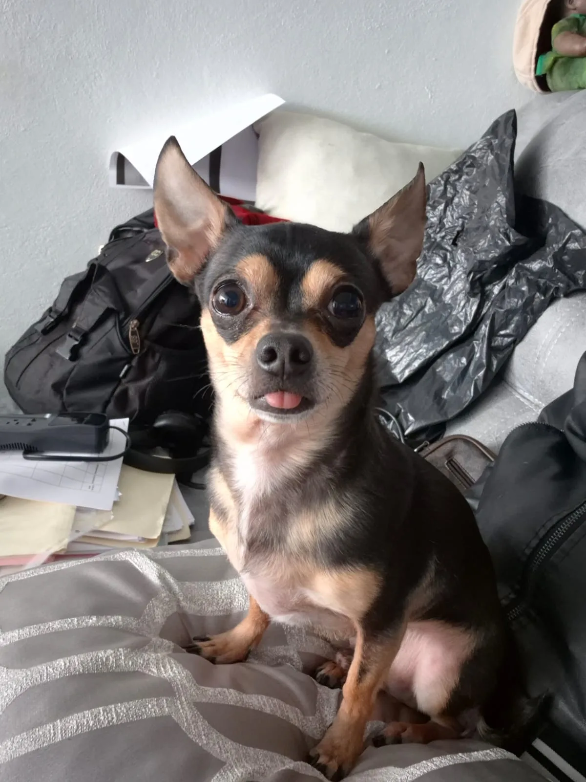 Retrato de TZAR