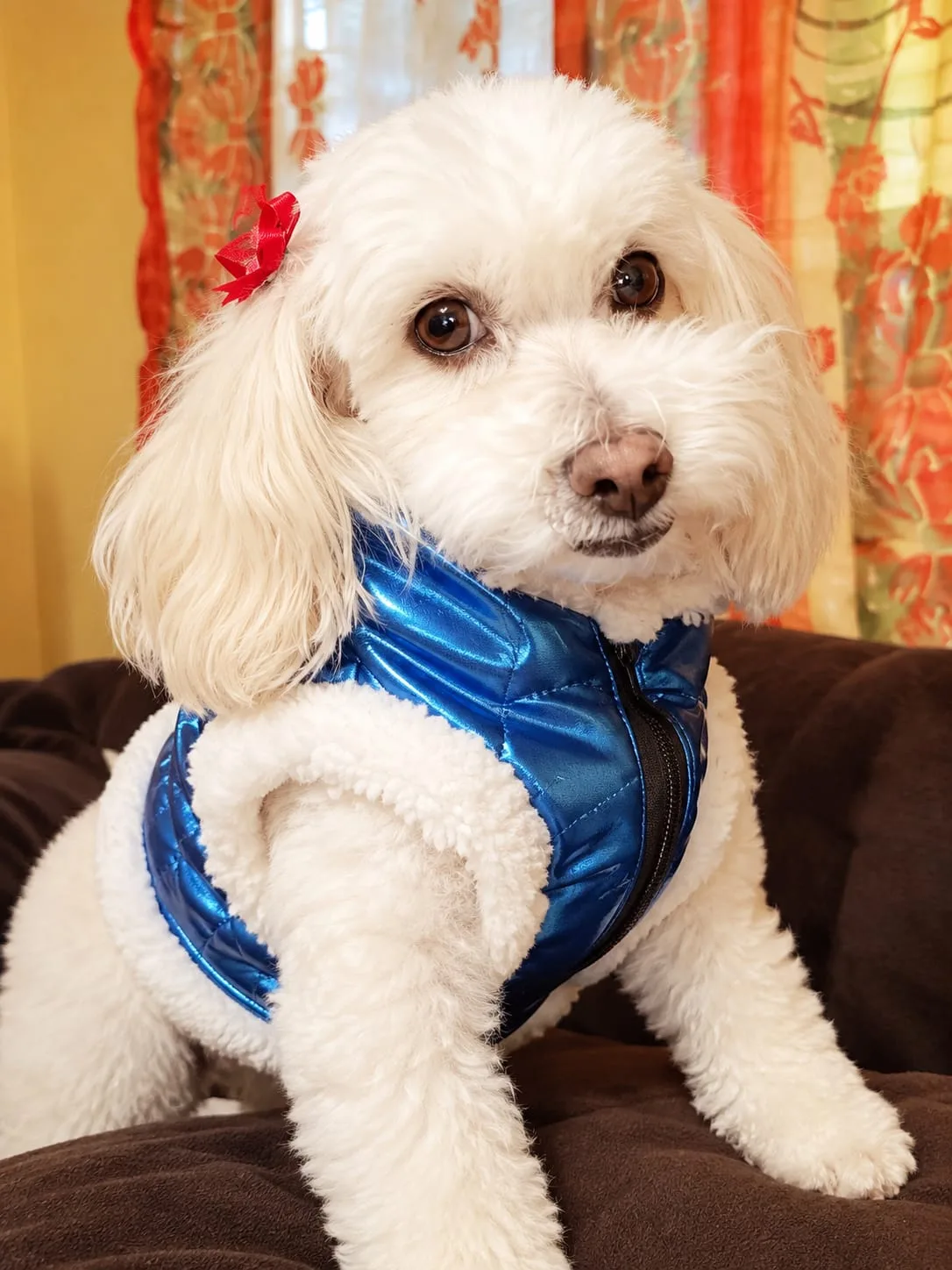 Retrato de MUÑECA