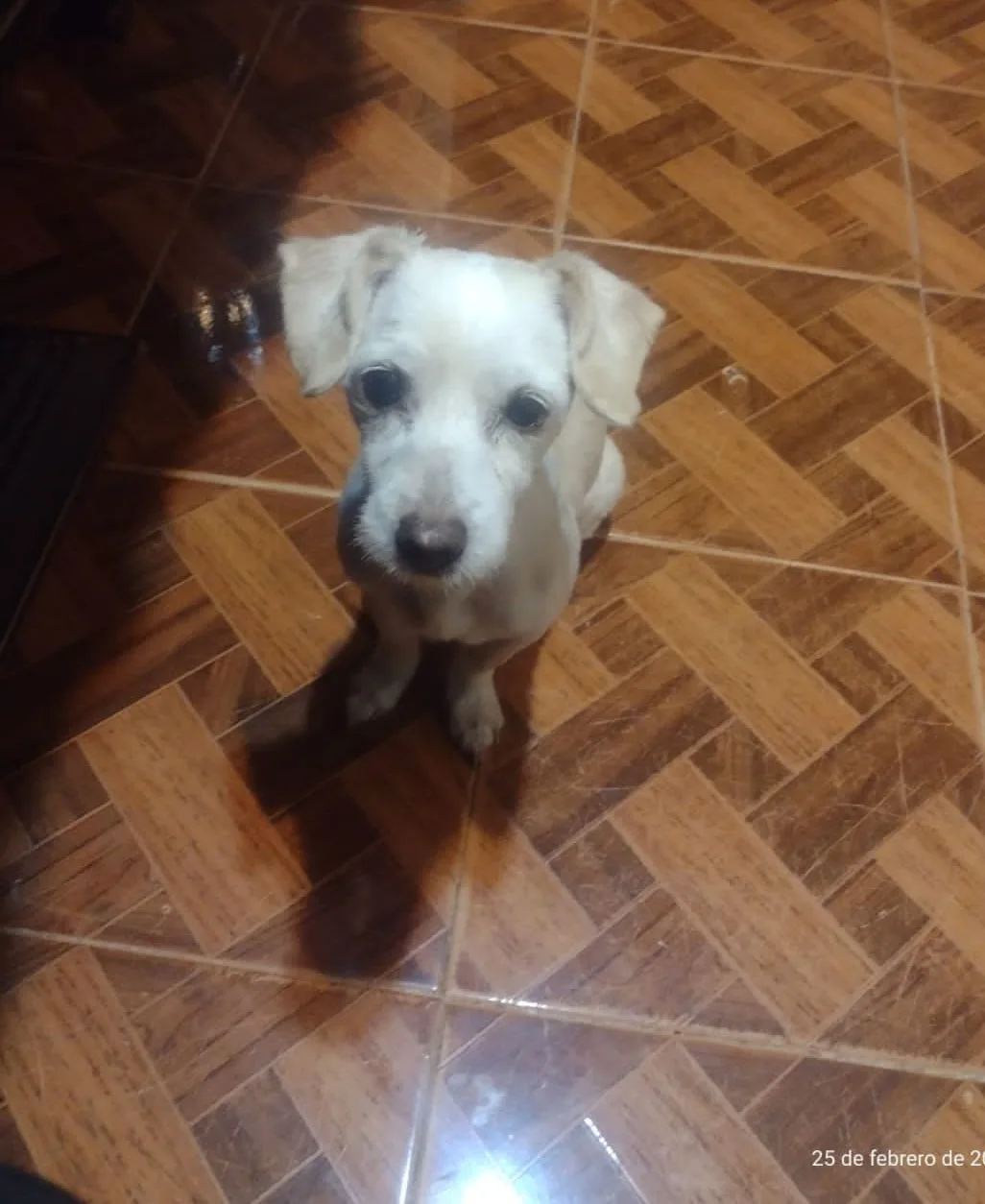 Retrato de SAORY