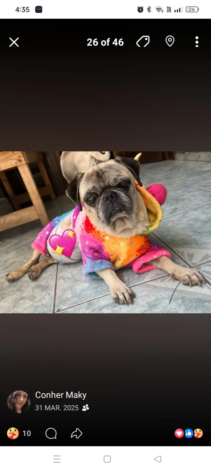 Retrato de TOMASITO