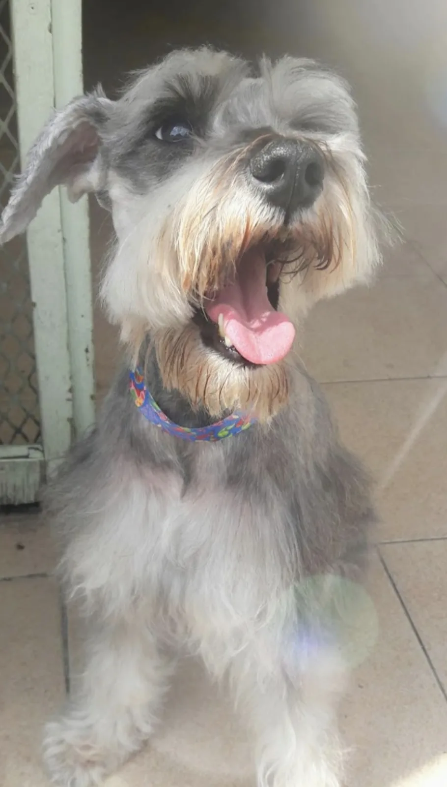 Retrato de LUNA