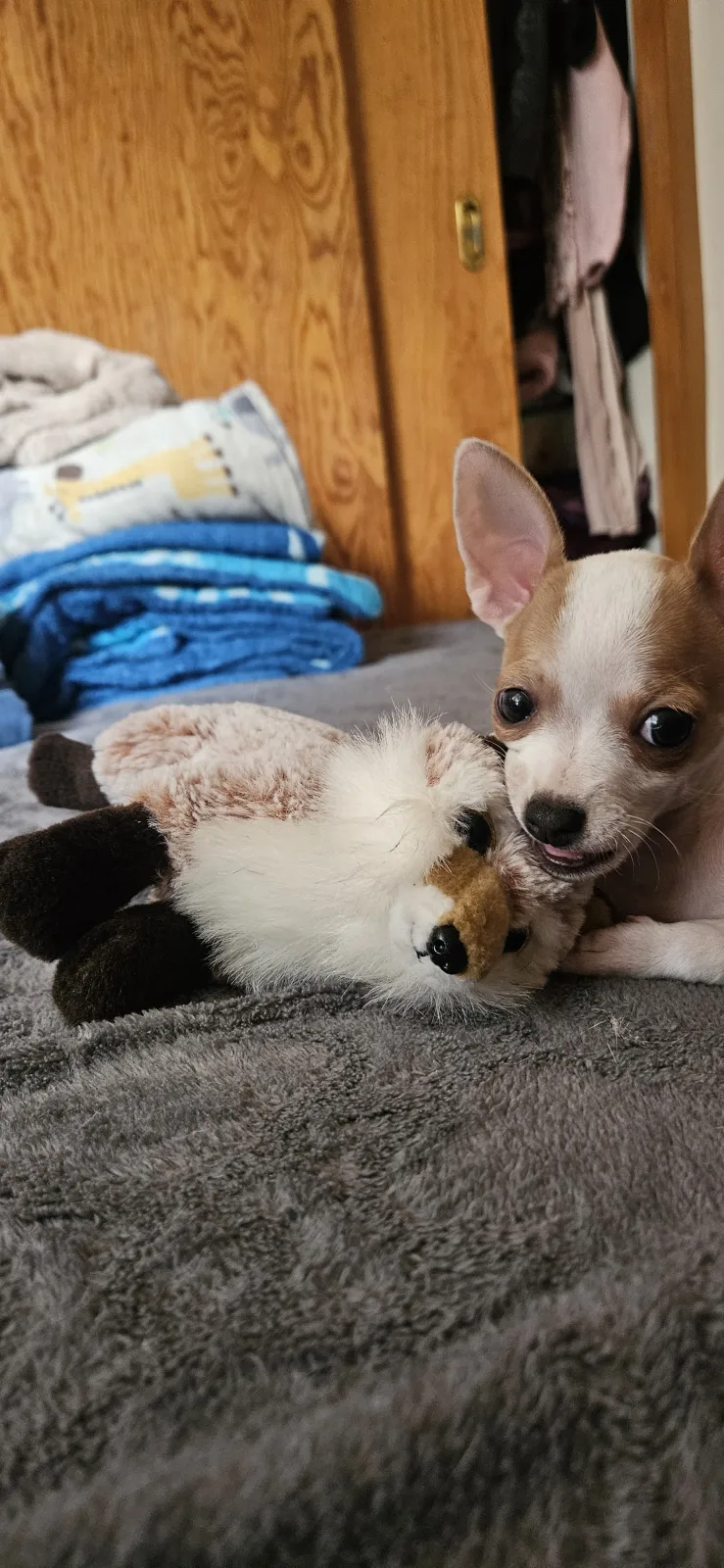 Retrato de LILO