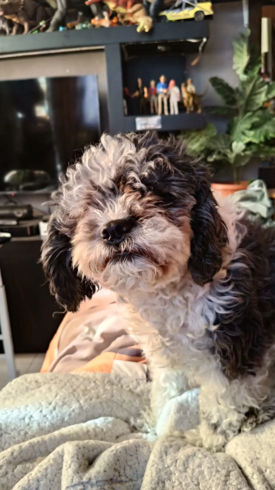 Retrato de NALA