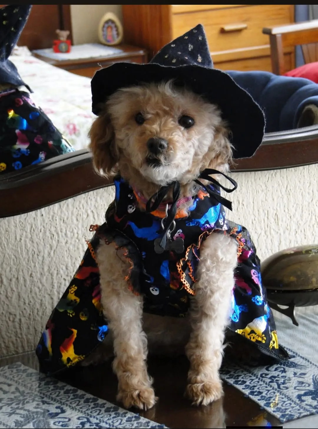 Retrato de KYARA