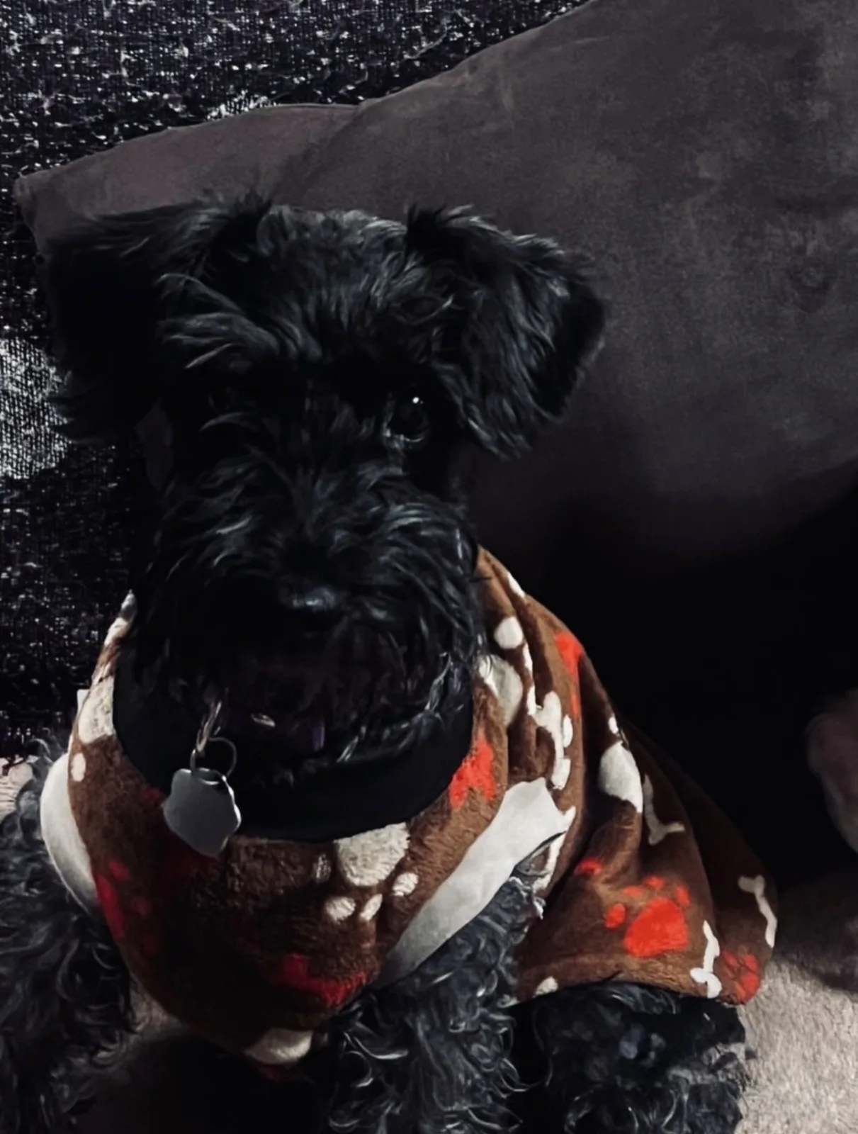 Retrato de CHANEL