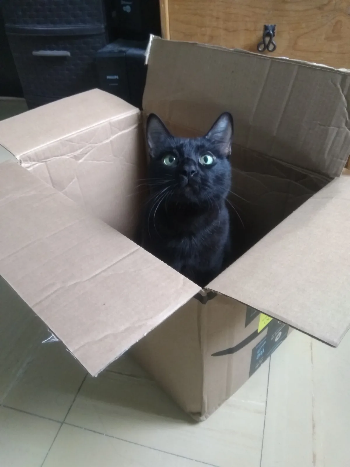 Retrato de PÁNFILO