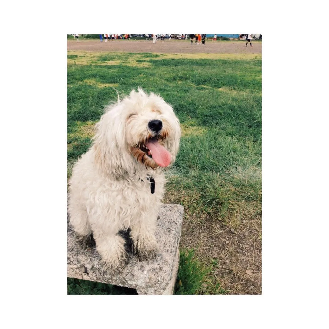 Retrato de COQUETA