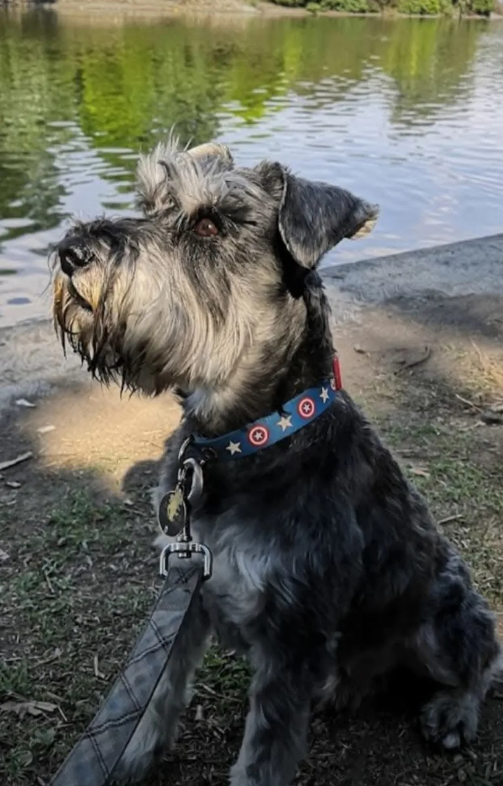 Retrato de DRACCO
