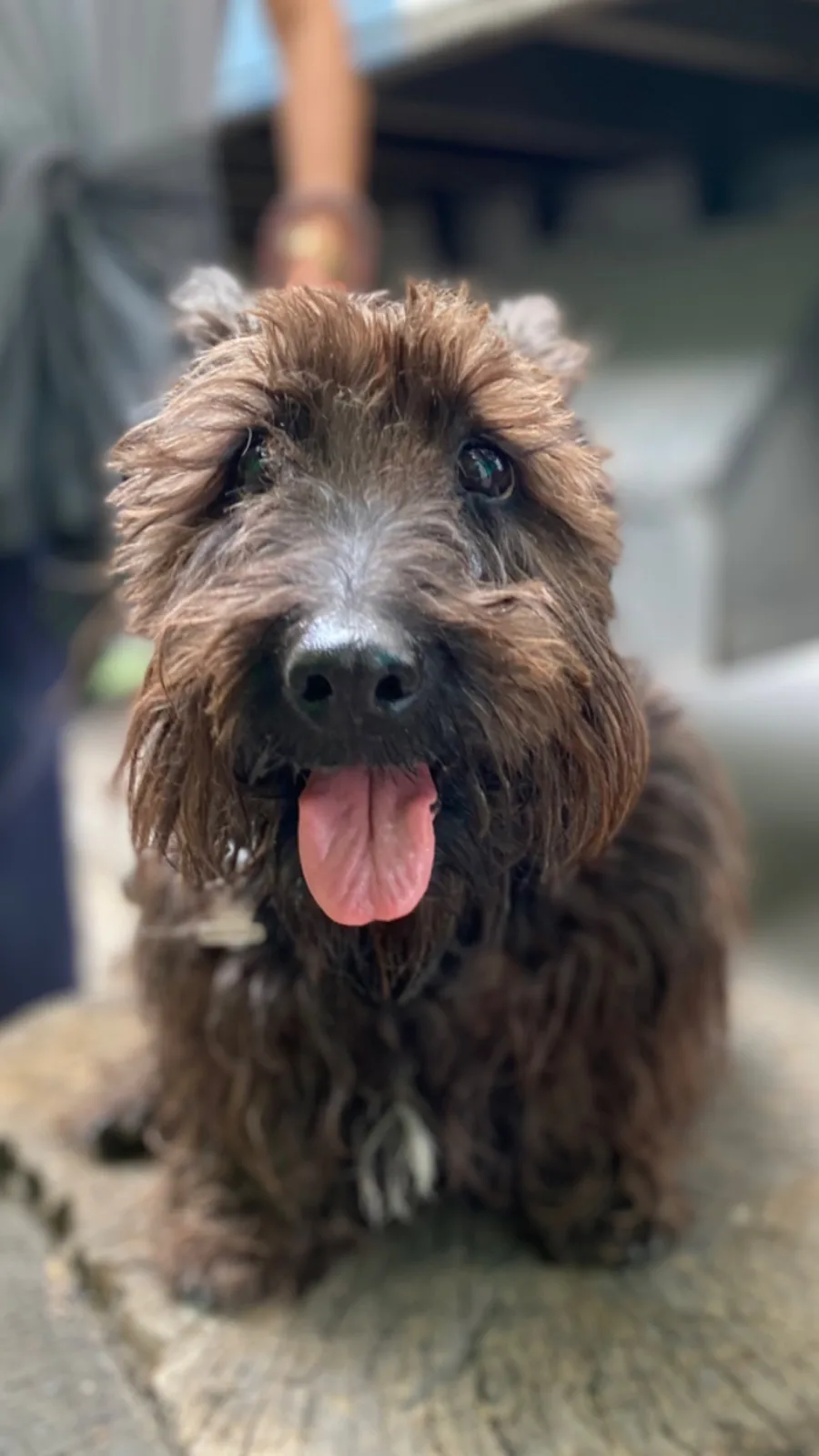 Retrato de LUNA