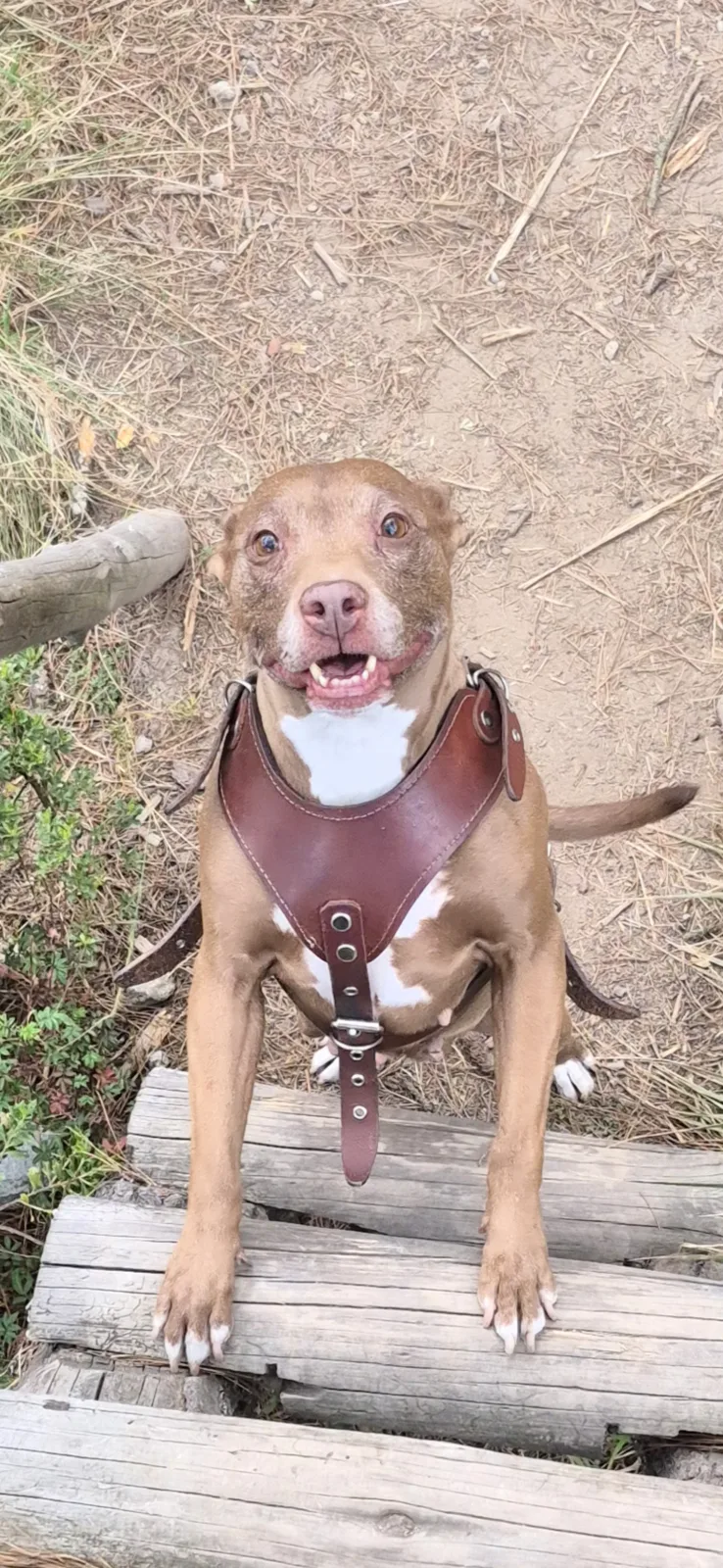 Retrato de CAJETA