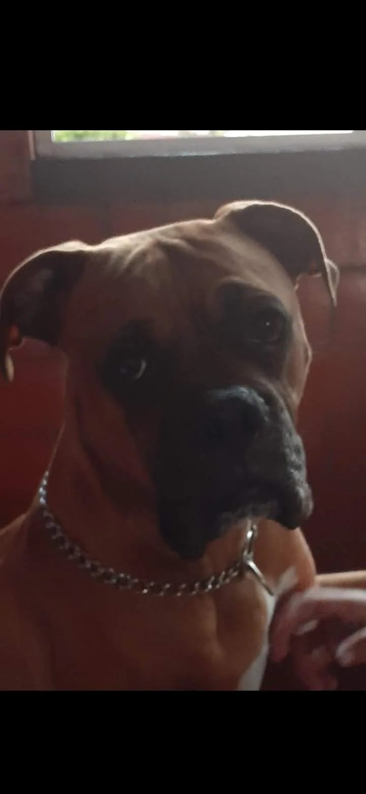 Retrato de PAYTON