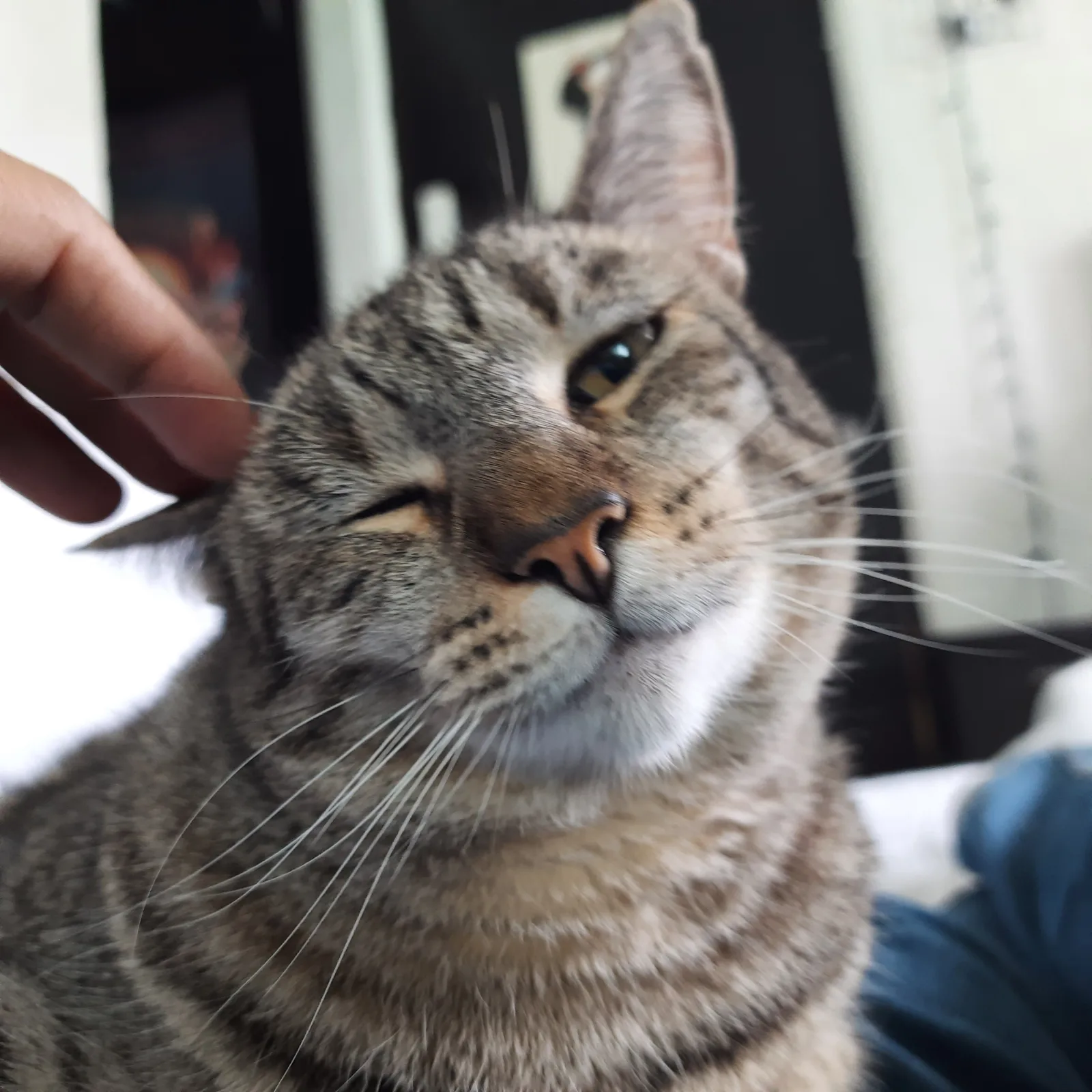 Retrato de NINA