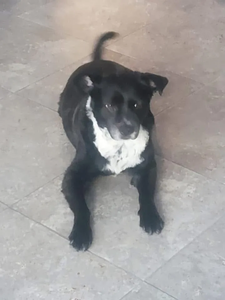Retrato de CANUTO