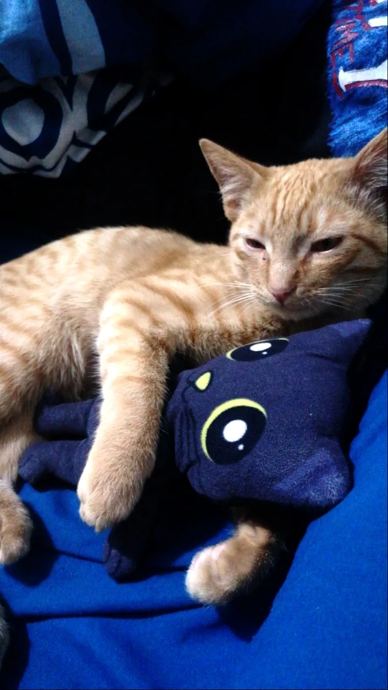 Retrato de SIMBA