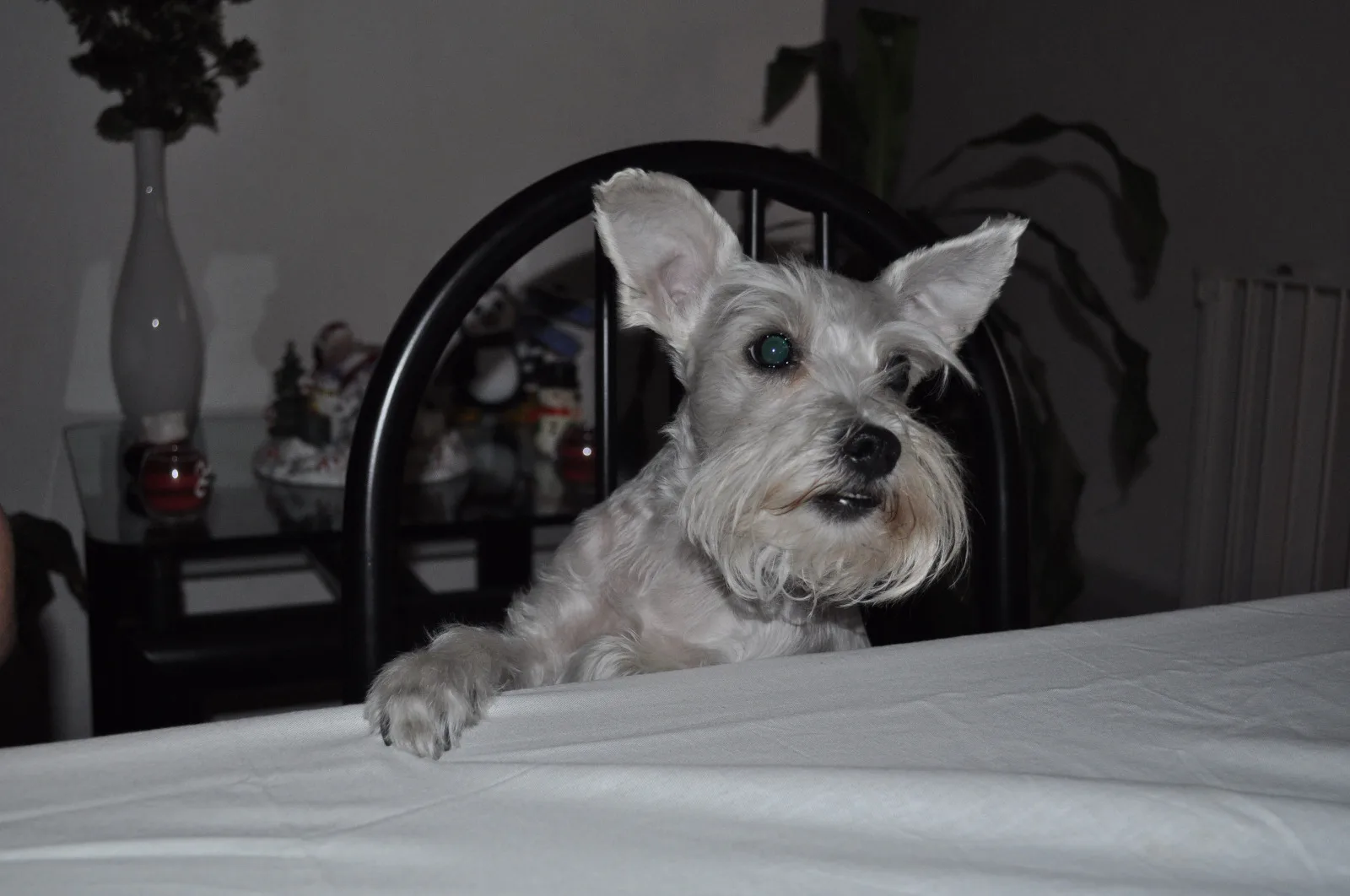 Retrato de KAYLA
