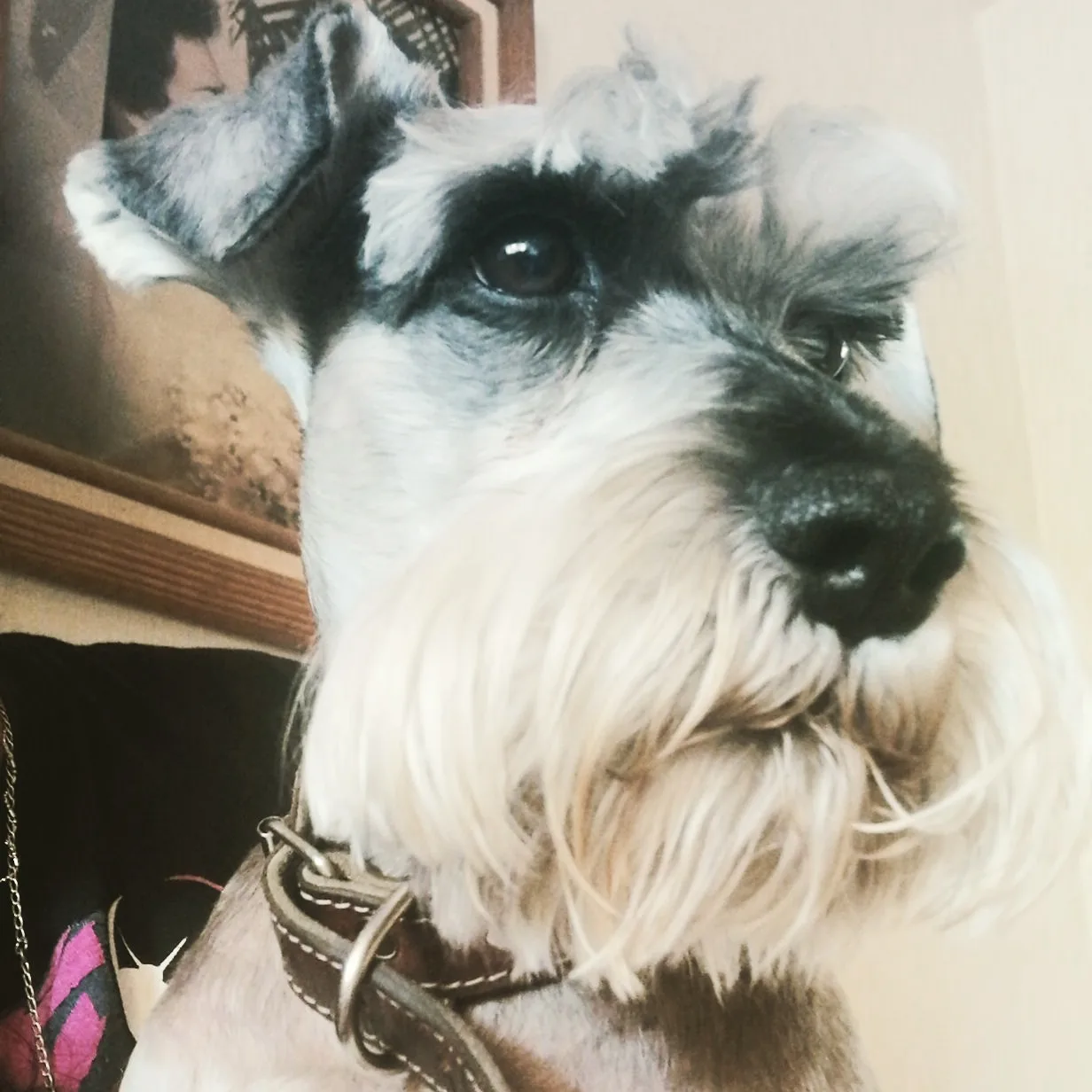 Retrato de LUCIANO
