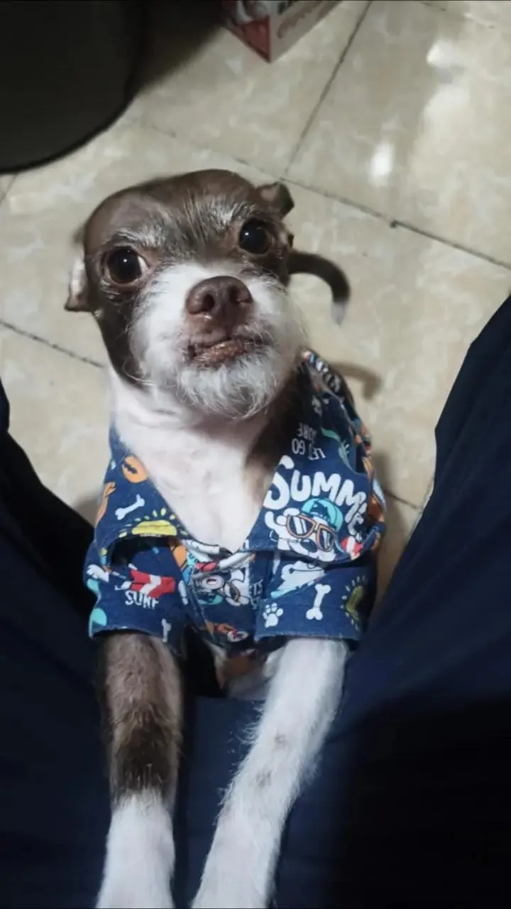 Retrato de YOGUI
